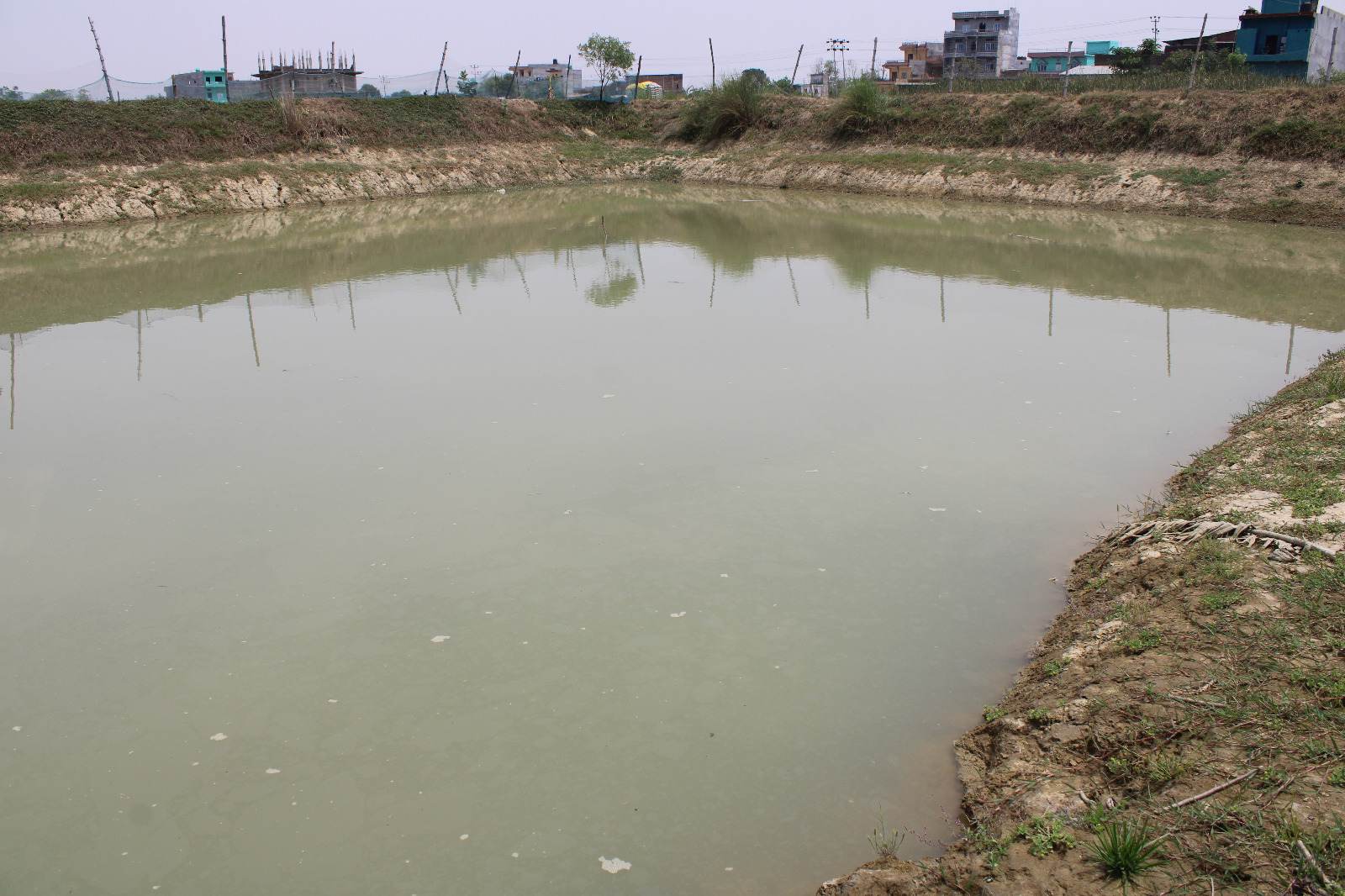 नवलपरासीमा ११ वर्षीय बालिकाको मृत्यु