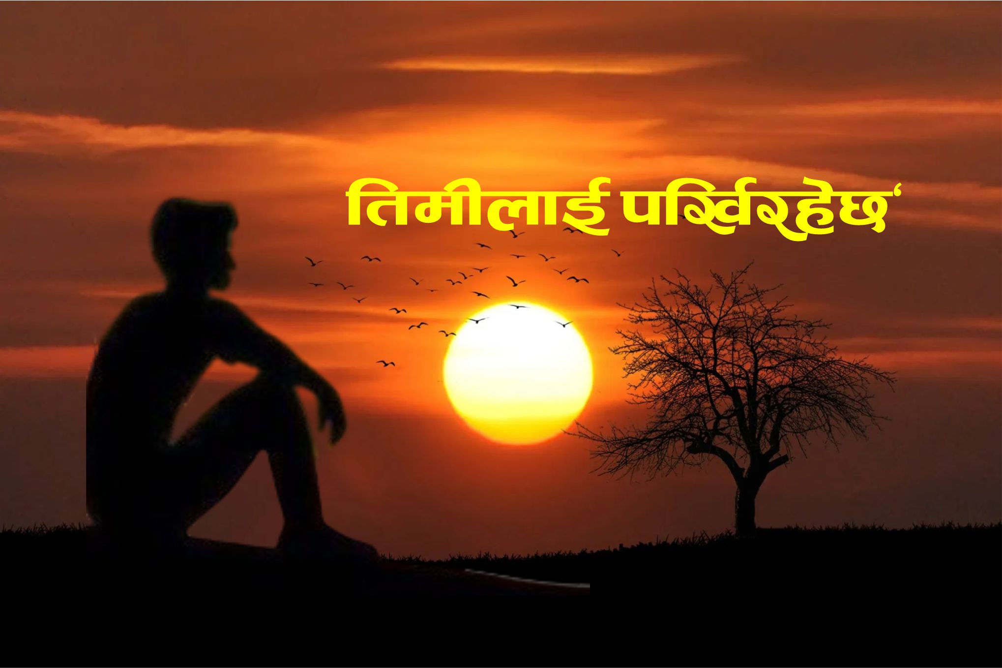 तिमीलाई पर्खिरहेछु