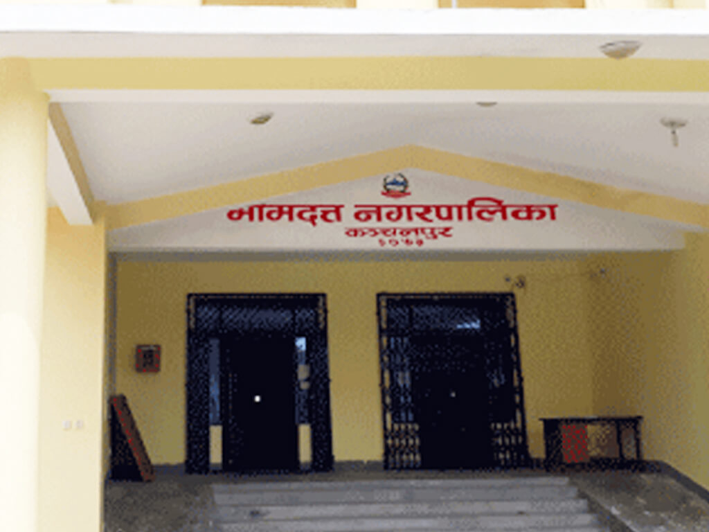 छोरीबुहारीलाई उच्च शिक्षामा सघाउँदै भीमदत्त नगरपालिका