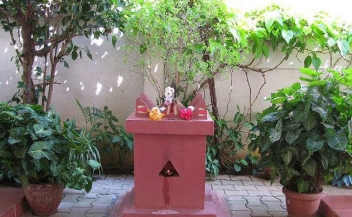 आज निर्जला एकादशी, घर-घरमा तुलसीको बिउ राखी मनाइँदै