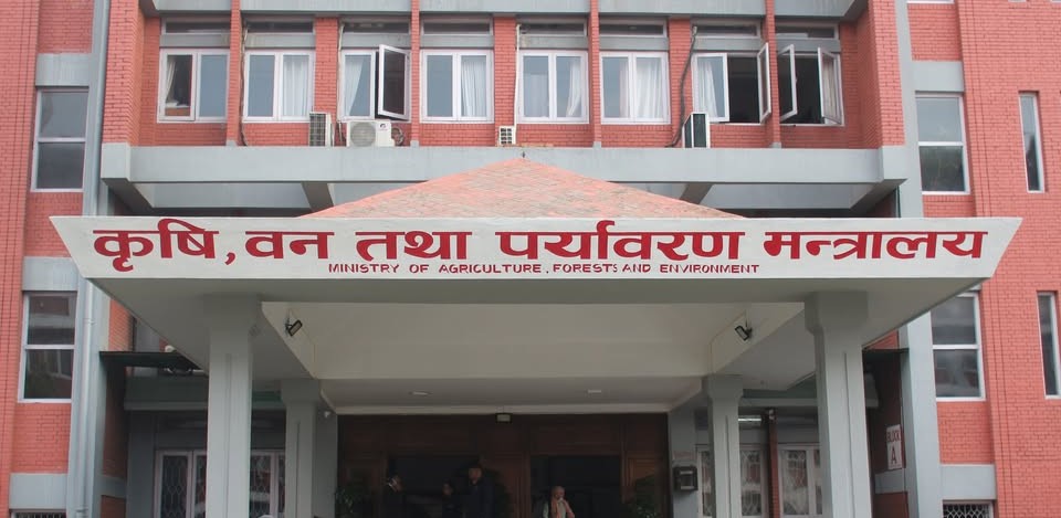 उखु किसानले १३ वटा चिनी मिलबाट पाए ९२ प्रतिशत रकम
