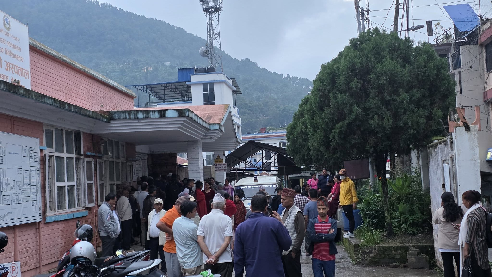 गुल्मीमा बाँदर धपाउने क्रममा लडेर एक महिलाको मृत्यु